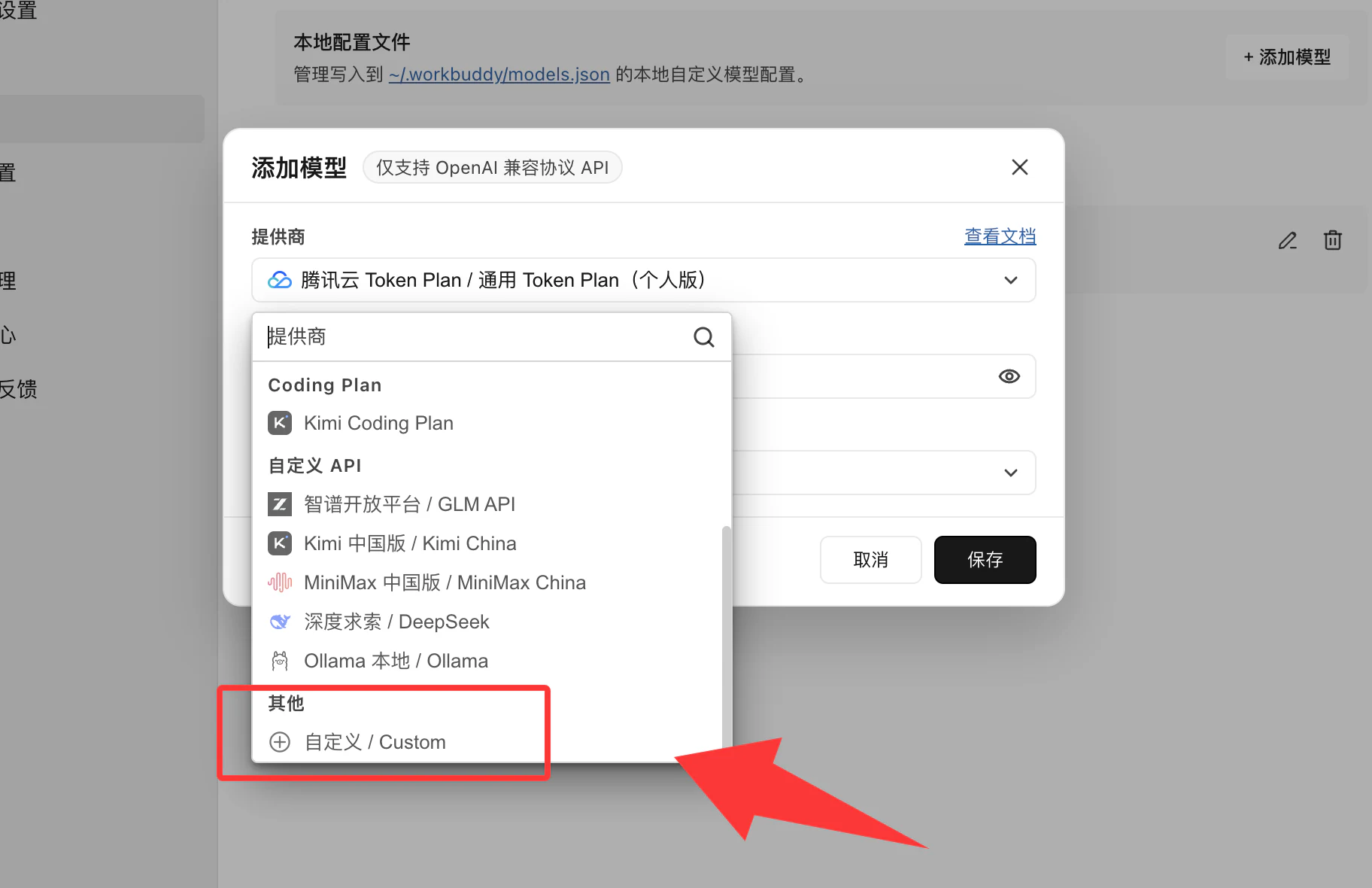 WorkBuddy 提供商选择自定义 Custom
